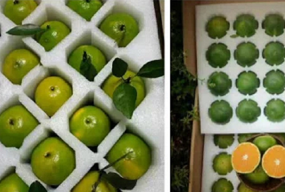 廠家直銷各種EPE珍珠棉泡沫、產(chǎn)品包裝泡沫、水果包裝泡沫等包裝盒內(nèi)襯